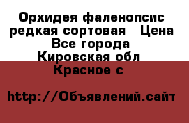 Орхидея фаленопсис редкая сортовая › Цена ­ 800 - Все города  »    . Кировская обл.,Красное с.